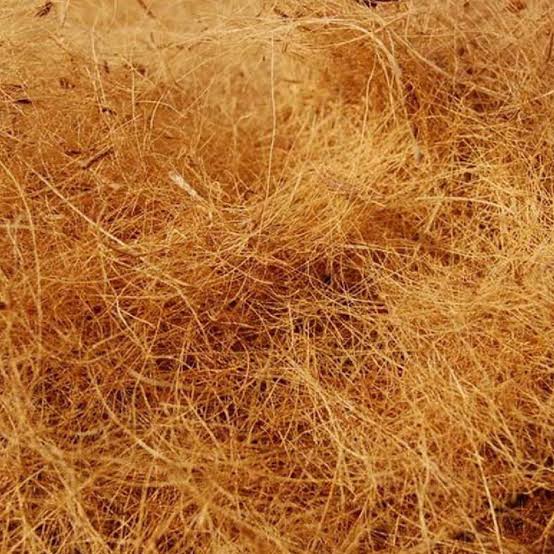 Coco Fiber